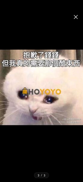 期待商品回国！感谢hoyoyo！