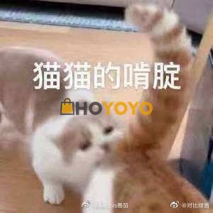 喜欢hoyoyo代购