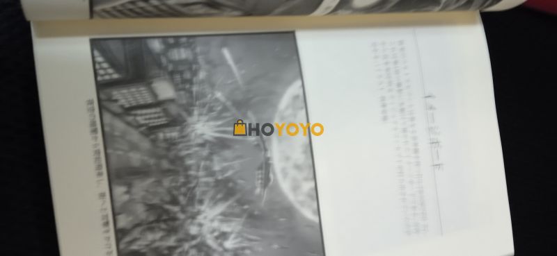 三次hoyoyo代购