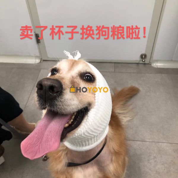 第一次用    。
