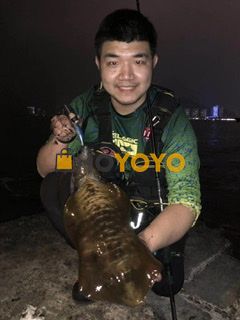 hoyoyo很好的消费体验
