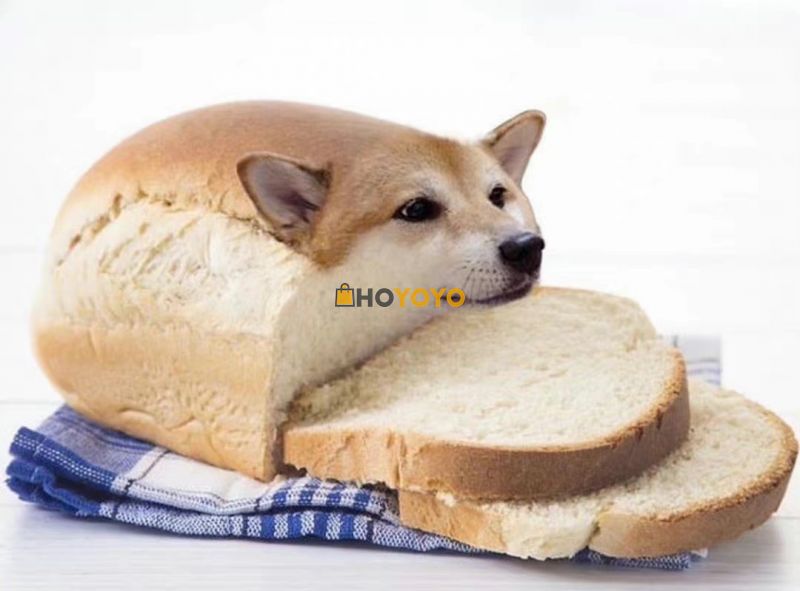 一个非常优秀的网站
