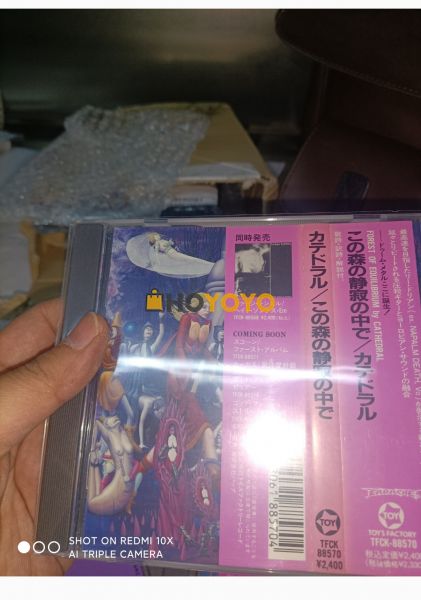 迟到的购物体验分享