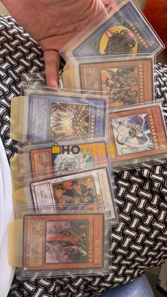 hoyoyo客服姐姐太棒了