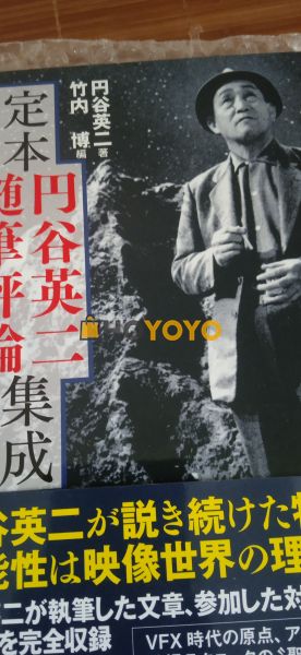 hoyoyo购买体验分享 
