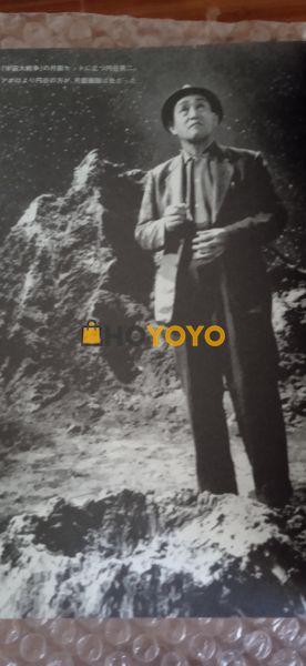 hoyoyo购买体验分享 