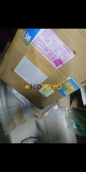 第一次在HOYOYO代购开箱体验