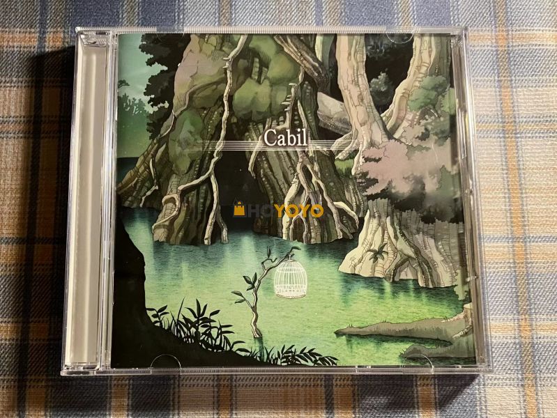海淘CD体验分享