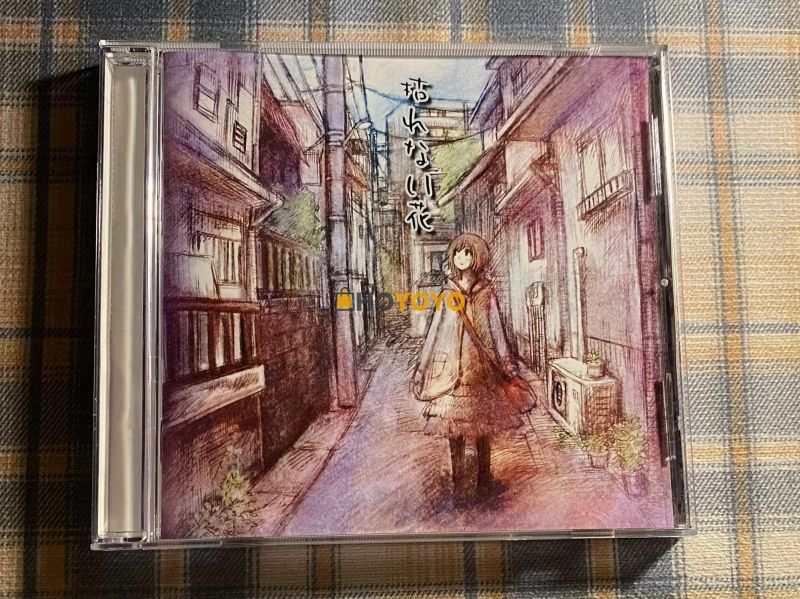 海淘CD体验分享 