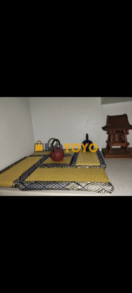 Hoyoyo一级棒