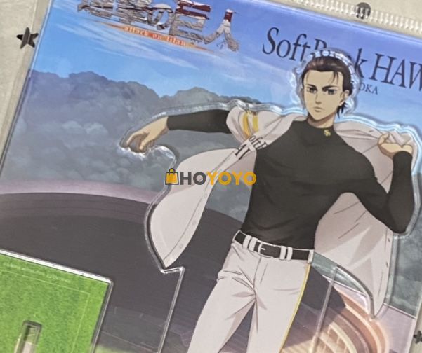 hoyoyo晒单