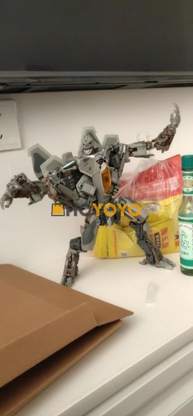 在hoyoyo的首次海淘体验很好喔 