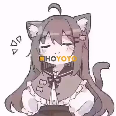 东西很好，速度很快