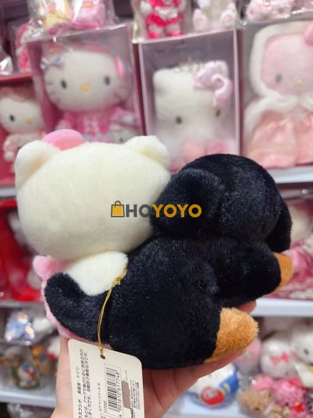 hoyoyo又来啦