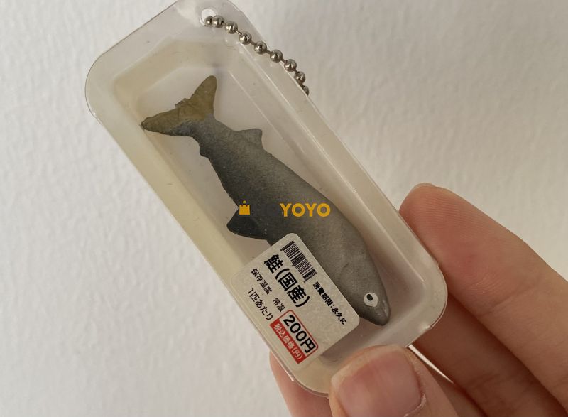 hoyoyo晒单