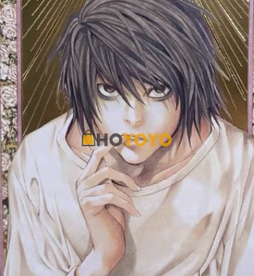 hoyoyo晒单