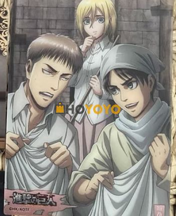 hoyoyo晒单