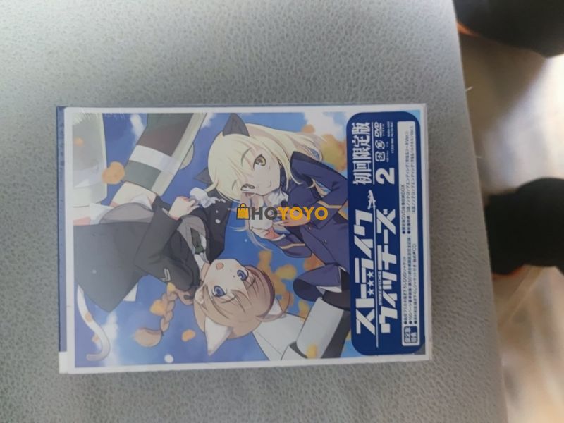 二次元的买买小主 