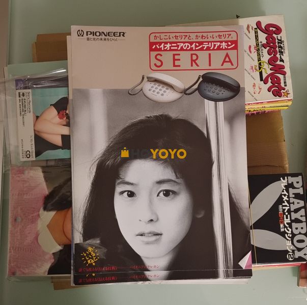 第33次日淘到货分享