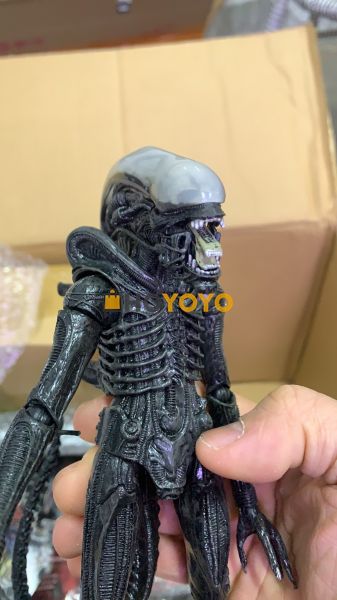收货之后的感觉分享 