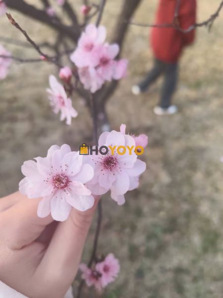物流很快，服务态度也很好