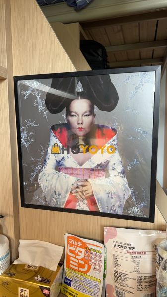 hoyoyo开箱分享