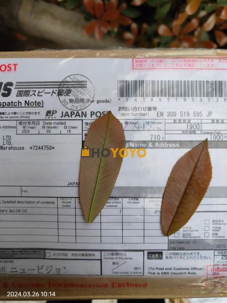顺利收到，货物良好