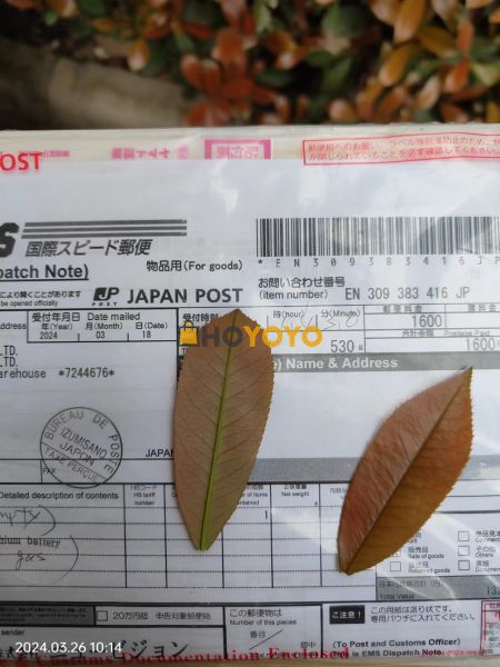 愉快的收到了，货件检查后功能良好，不错