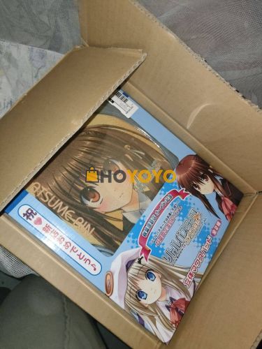 hoyoyo开箱