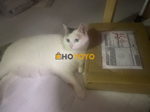 今年第二箱 开箱快乐