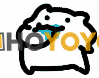 第四次使用hoyoyo海淘分享