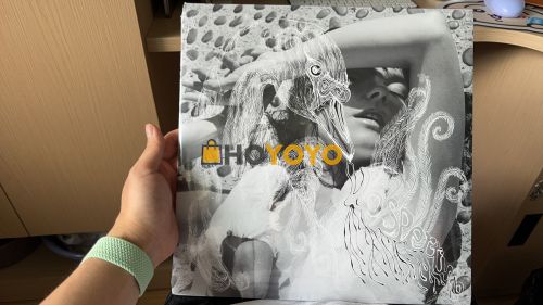HOYOYO开箱