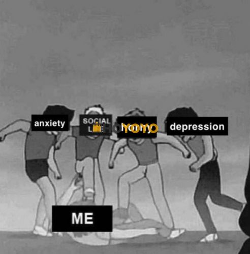 哈哈哈哈哈哈哈哈哈哈哈哈哈哈哈