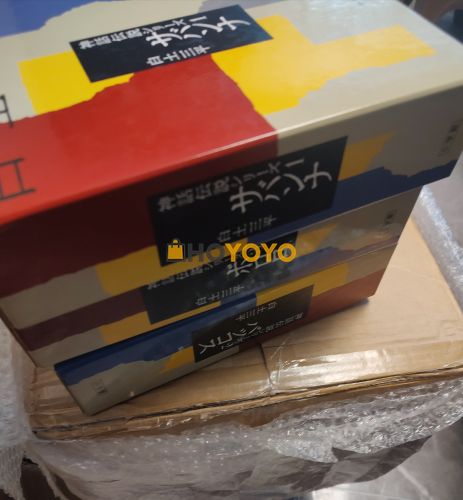 在hoyoyo  的第一单 