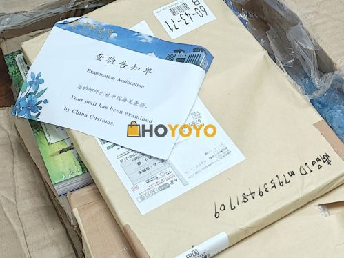 hoyoyo购买的第一单到了