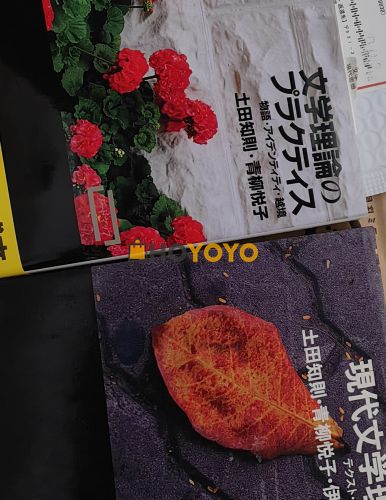 文学理论新书到货