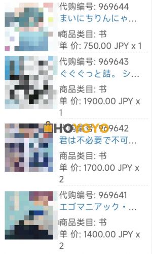 第一次hoyoyo海淘