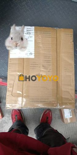 挖煤君 好價收好物