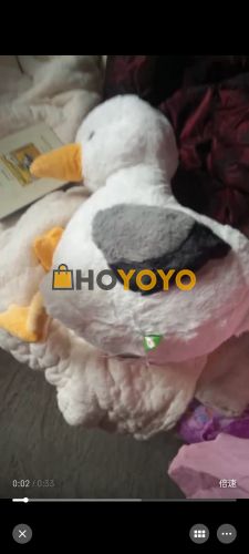 体验还是很不错的