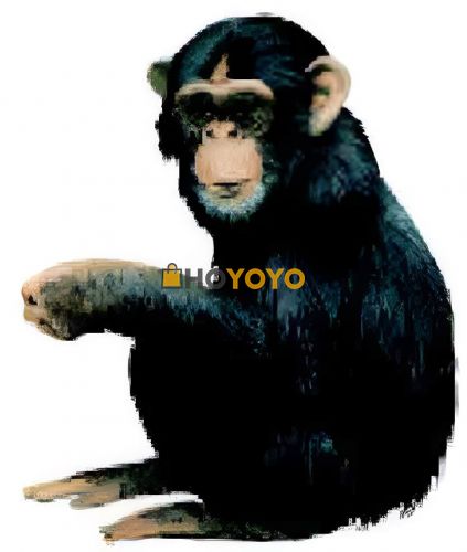 很好的hohoyo
