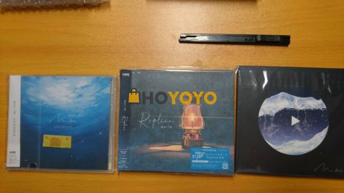hoyoyo日淘体验分享