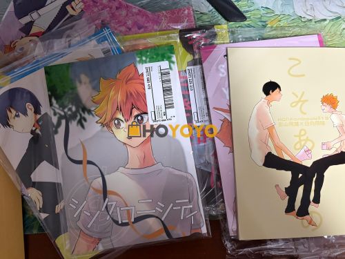 hoyoyo初体验