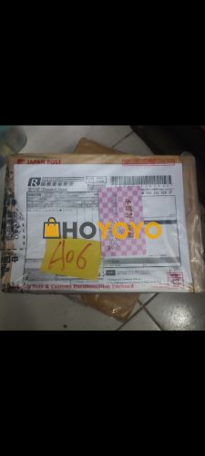 HOYOYO包裹