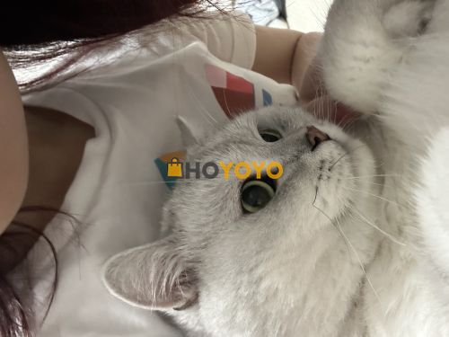 一次愉快的开箱经历！