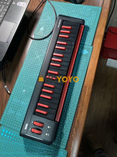 Korg microkey37keys 