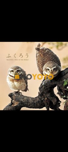 又是一次完美的购物体验
