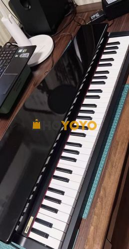 Graceful piano of korg!