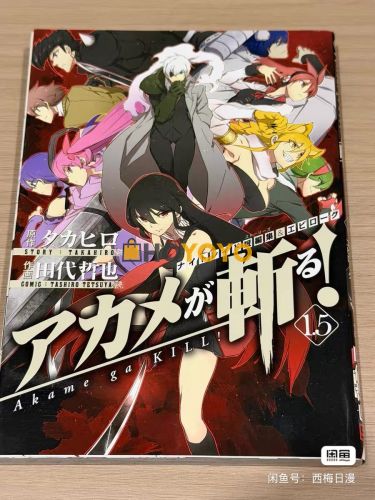 漫画开箱之游戏人生